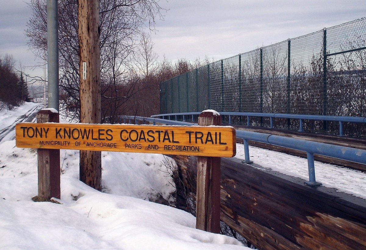 A paved coastal path through trees along the Tony Knowles Coastal Trail in Anchorage