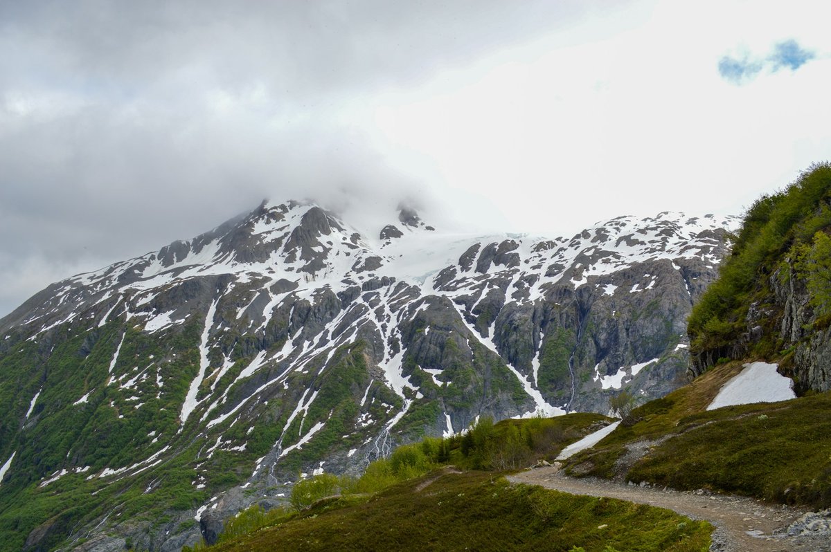 Snow-covered coastal mountains and green slopes typical of the Kenai Fjords landscape
