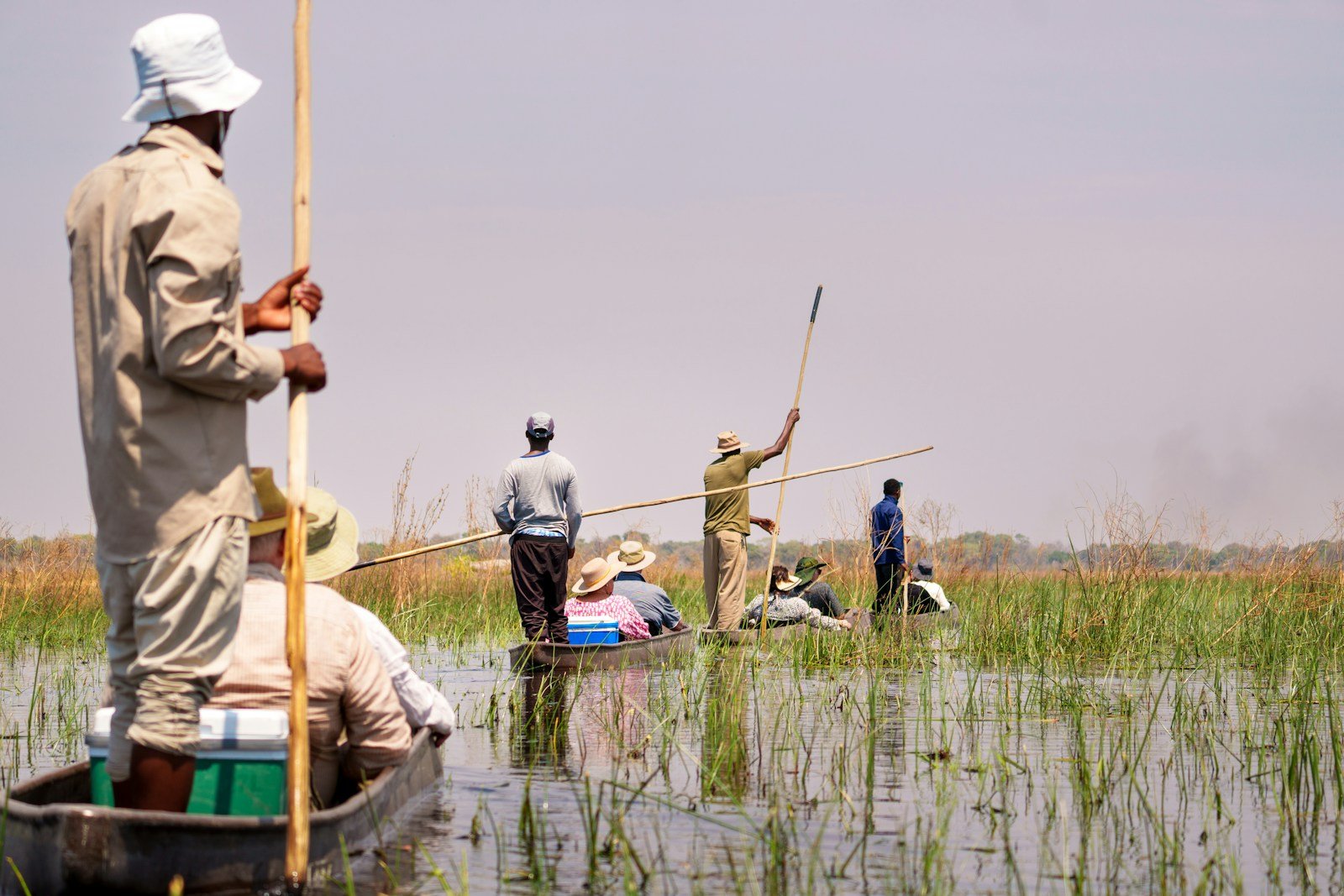 People poling mokoro canoes through grassy wetland channels in the Okavango Delta