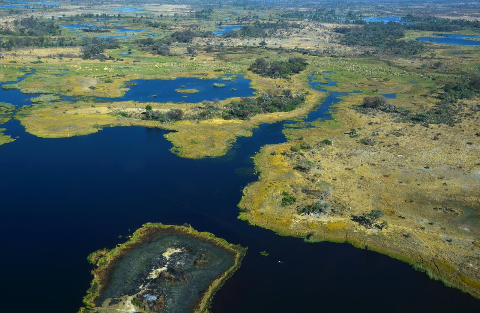 Aerial view of the Okavango Delta wetlands in Botswana with channels, islands and green floodplains