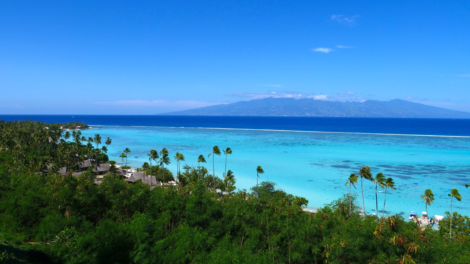 Turquoise lagoon water and sandy shoreline at Temae on Moorea