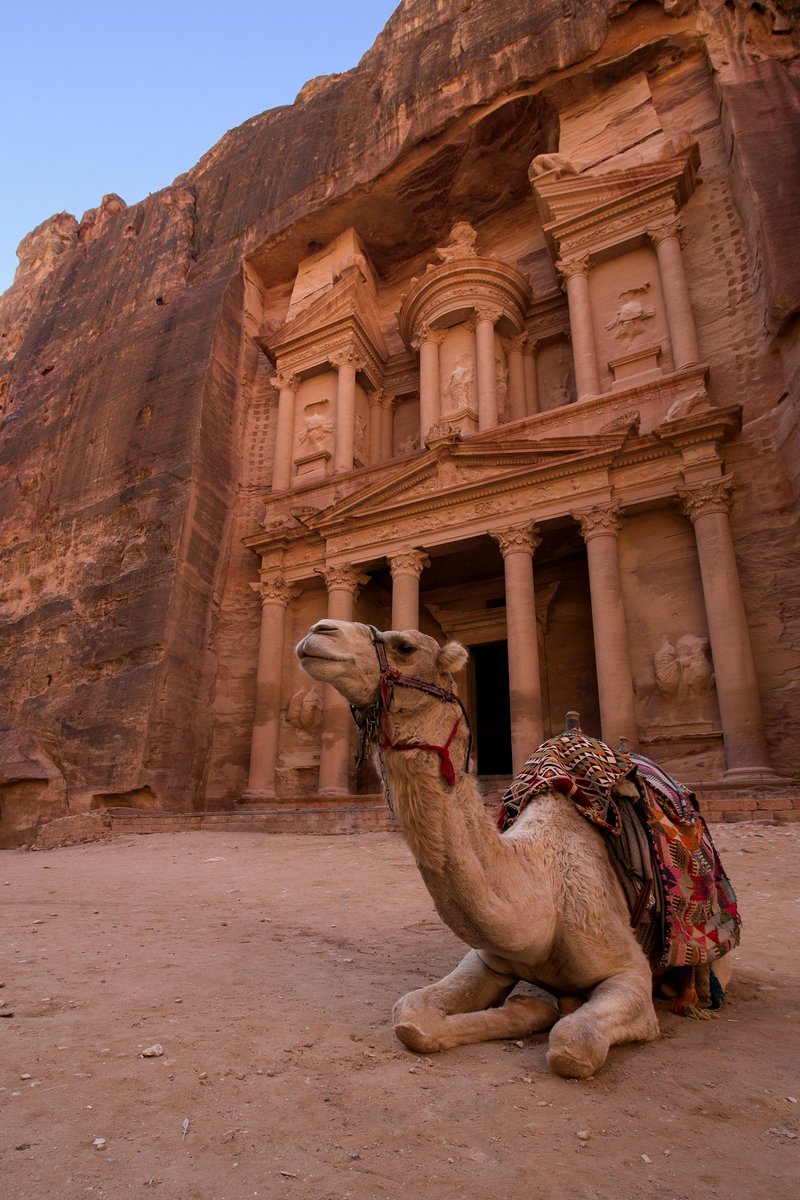 A camel standing in front of a sandstone rock face in Wadi Rum, Jordan