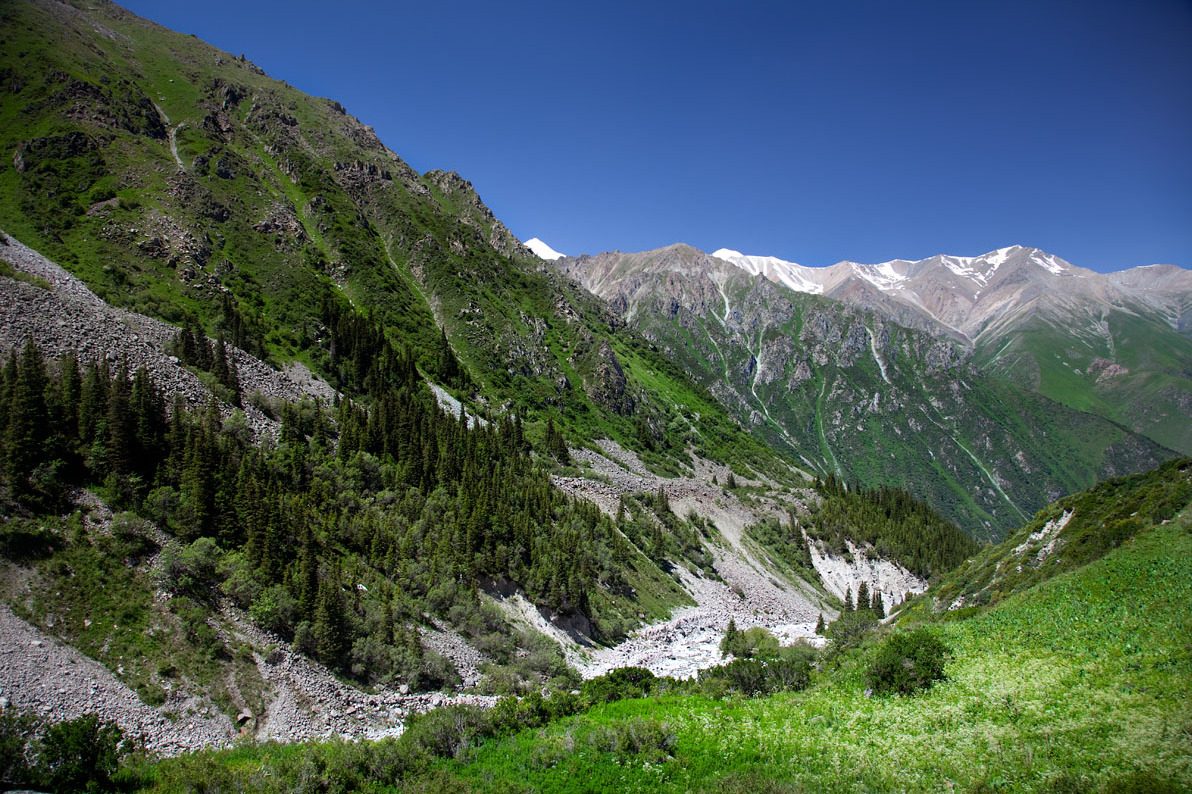 River and forested slopes in Ala-Archa National Park near Bishkek, Kyrgyzstan