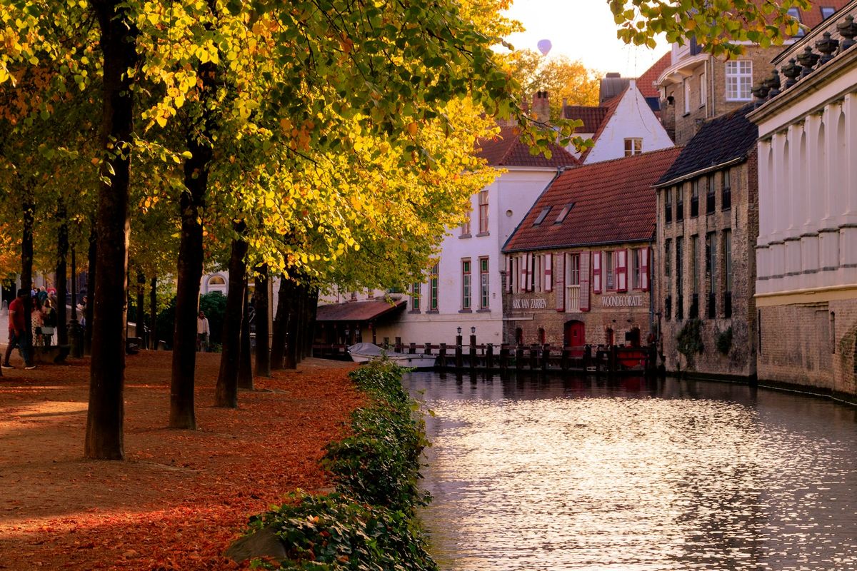 Tree-lined canal in Bruges in autumn, with white gabled houses across the water